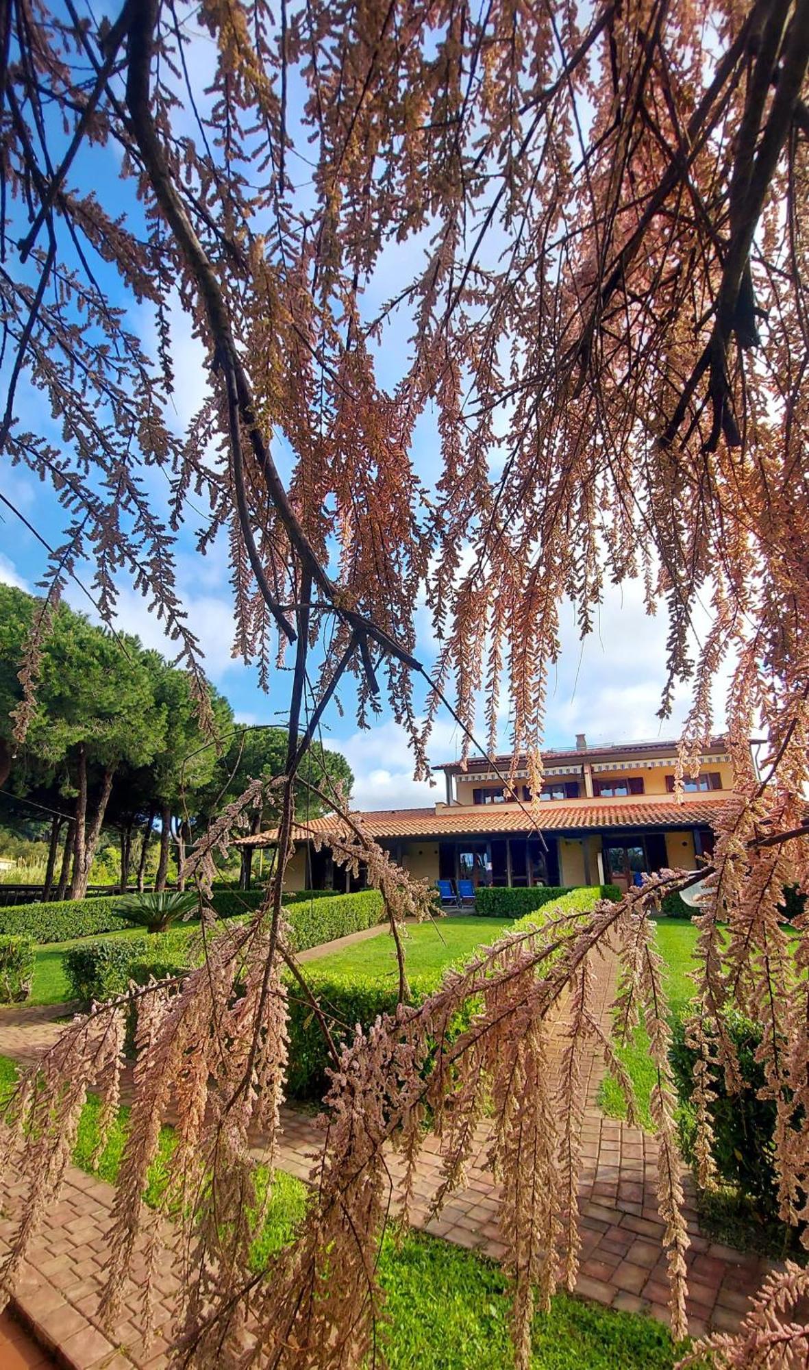 Lido Azzurro Residence Rta カポリーヴェリ エクステリア 写真